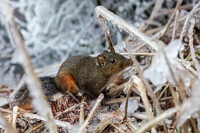 育碧联合GGJ环保行动开始！多款游戏现已推出环保活动