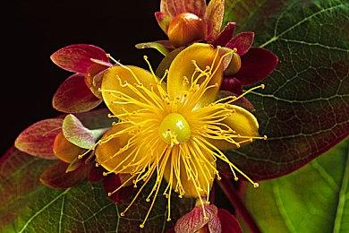 《战锤40K：星际战士2》免费更新发布 新的游玩模式参战